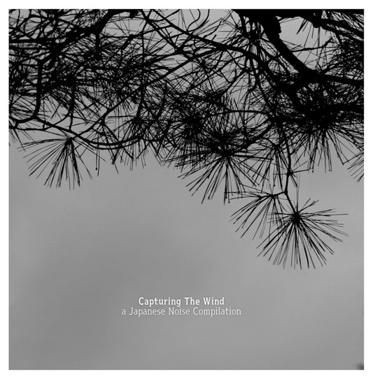 Capturing The Wind, a Japanese Noise Compilation